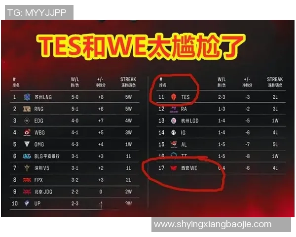 LNG战队运营体系解析：英雄联盟中的战术布局与团队协作策略