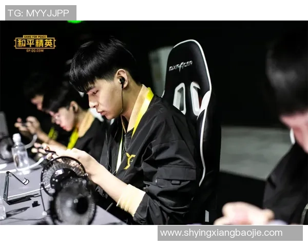 WE战队在阵地战中的表现分析与战略得失探讨